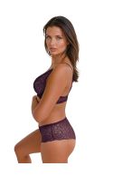 Elixir Maxi brief