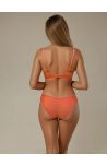 Féline Brief