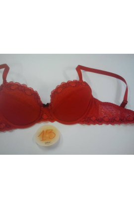 Model 13 Classique Bra